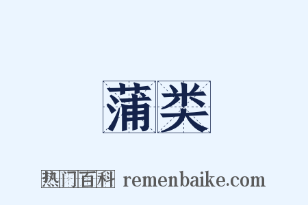 蒲类是什么意思的图片